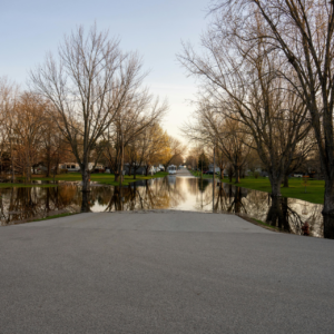Picture of a flooded street with houses in the background.